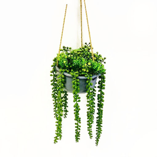 Plastic Potted Plant Spring Hanging Decoration Item XA20261