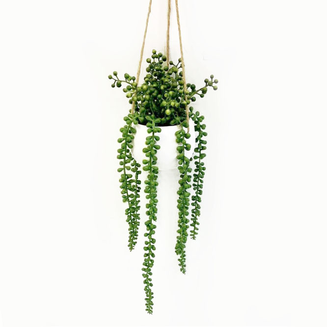 Plastic Potted Plant Spring Hanging Decoration Item XA20306